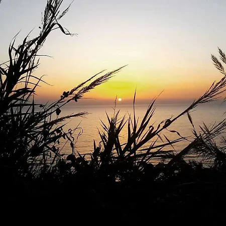Alga Marina Anzio